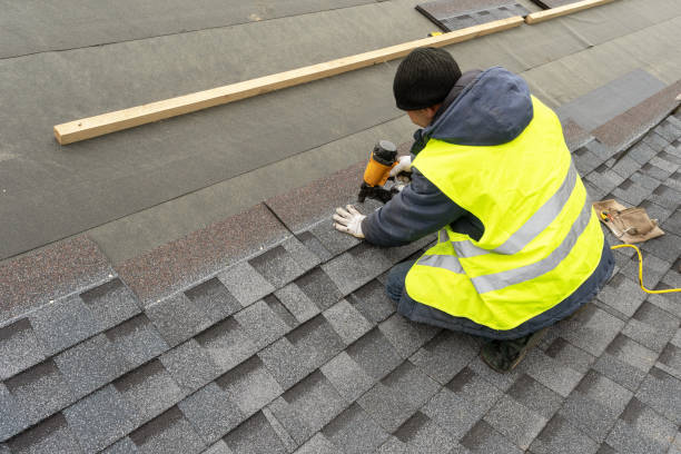 Best Roof Gutter Cleaning  in Colma, CA